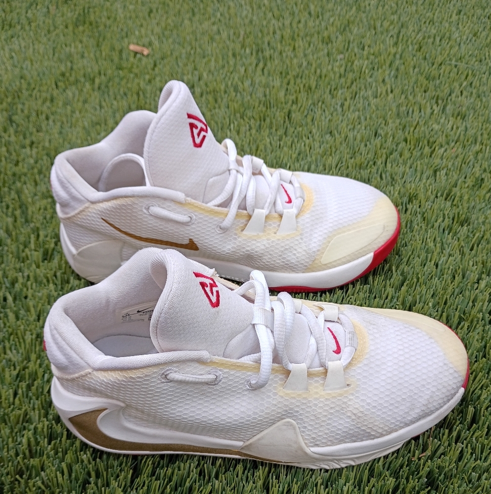 Nike Zoom Freak 1 Roses (GS) shoes BQ5633-100,  Size 5.5y